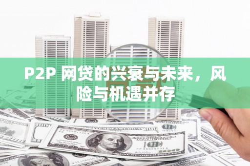 鱼峰P2P 网贷的兴衰与未来，风险与机遇并存